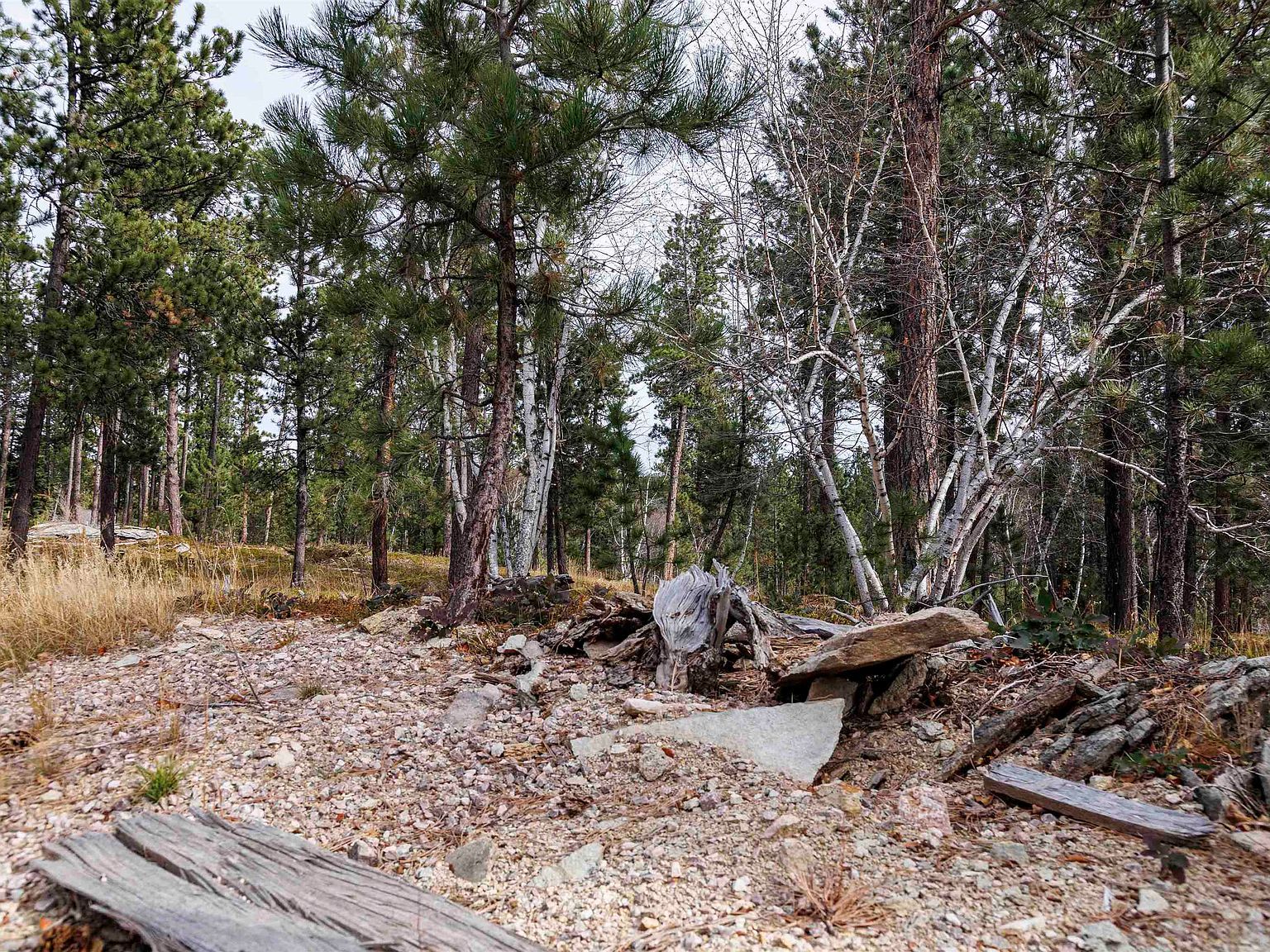 LOT 4 Autumn Ln Lead, SD 57754  | Land/Lot