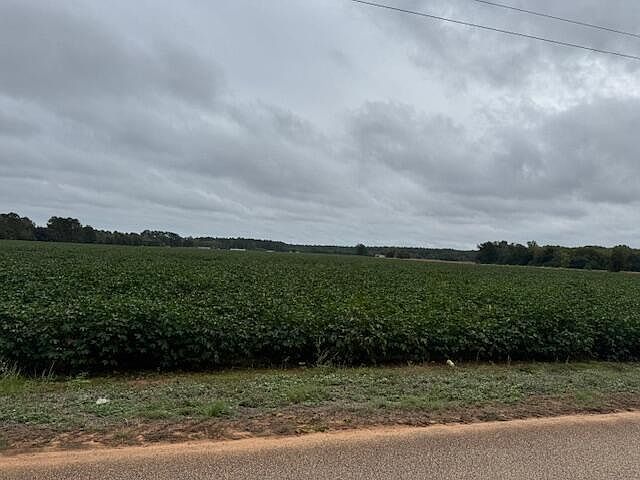 Tiverton Church Rd Wedgefield, SC 29168 - Thumbnail 2