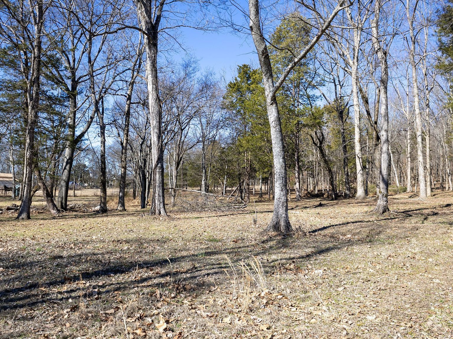 2956 Spanntown Rd Arrington, TN 37014 - Thumbnail 2