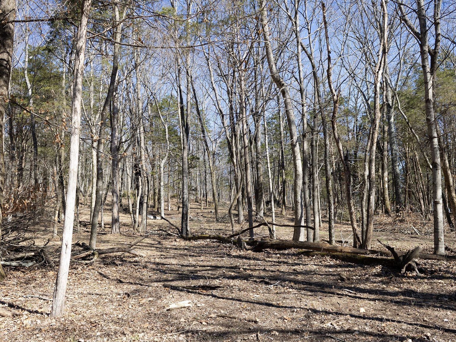 2958 Spanntown Rd Arrington, TN 37014 - Thumbnail 2