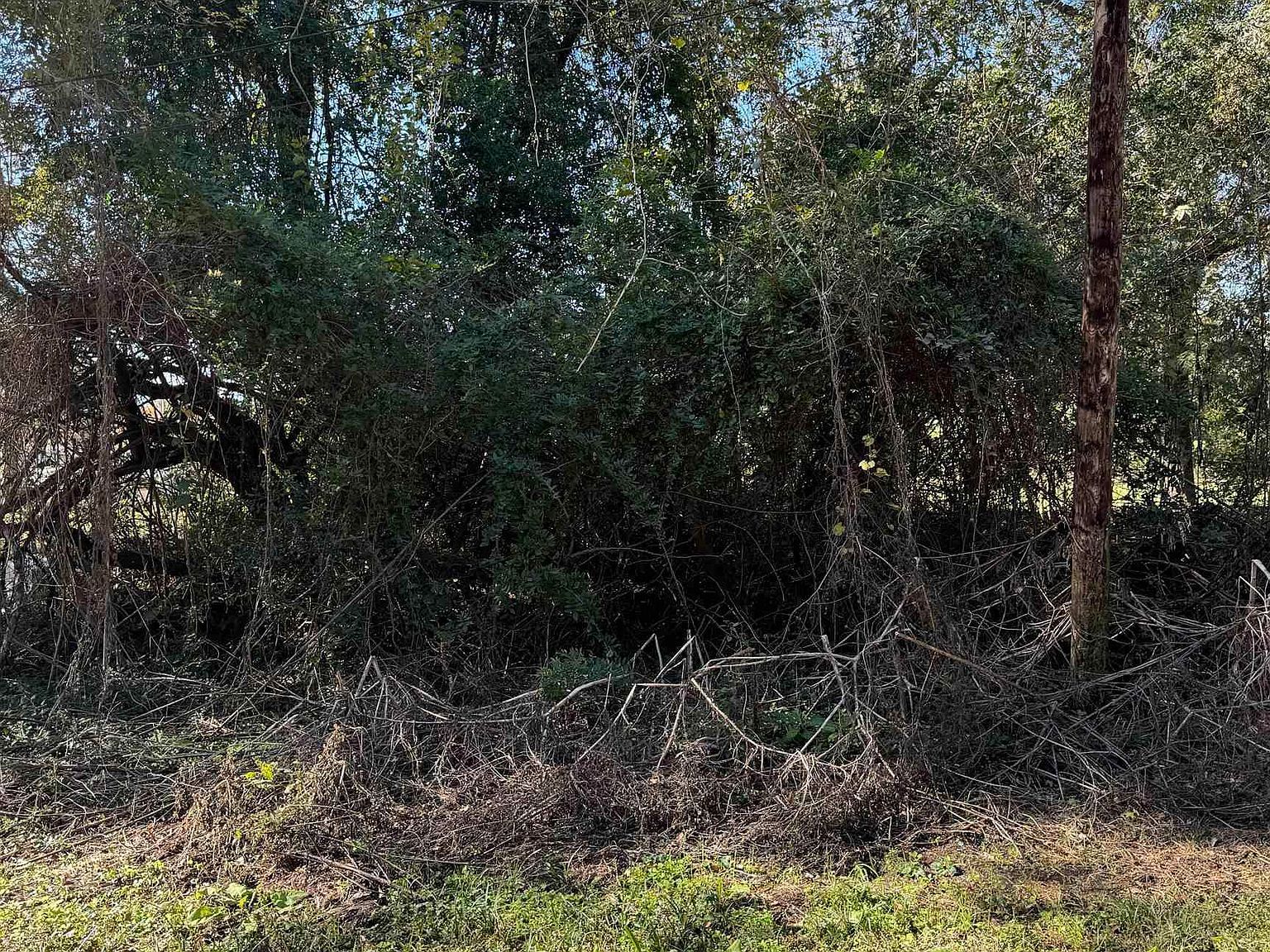 0-TBD2 Ann St Texarkana, TX 75501  | Land/Lot