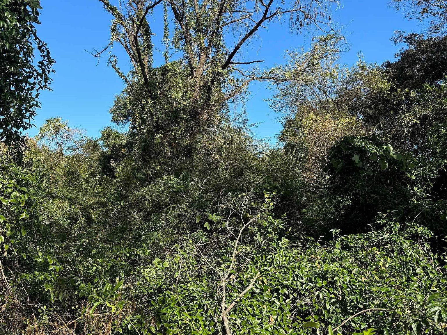 0 Tbd Cp #2 Texarkana, TX 75501 - Thumbnail 2