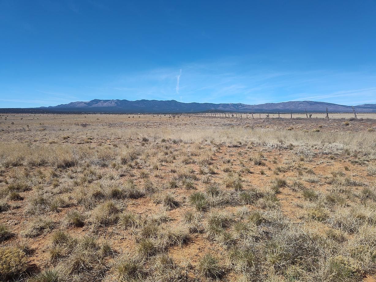 TRACT Spencer Ranch Rd #A Mountainair, NM 87036  | Land/Lot
