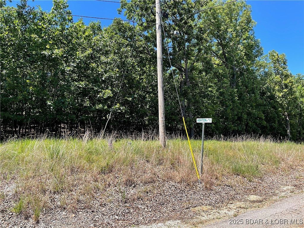 Lots 1393 & 1394 Ashton Ln Camdenton, MO 65020 - Thumbnail 2