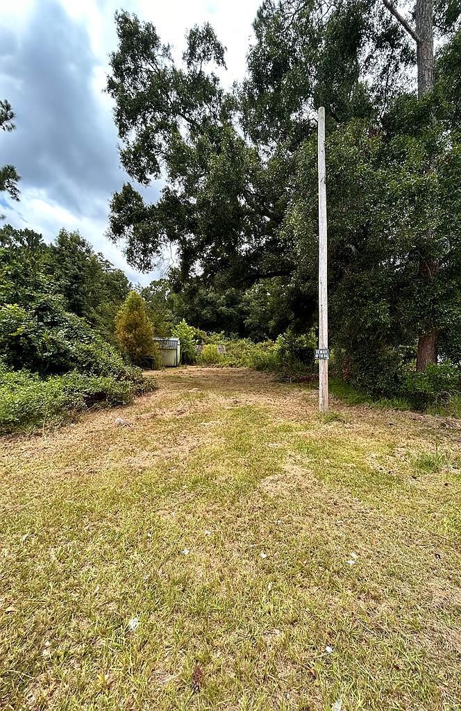 1941 Mora Rd Willacoochee, GA 31650 - Thumbnail 2