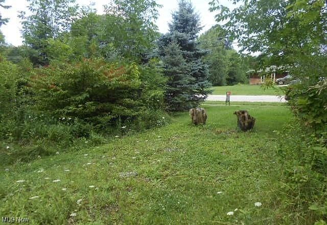 Shurmer Rd Strongsville, OH 44136 - Thumbnail 2