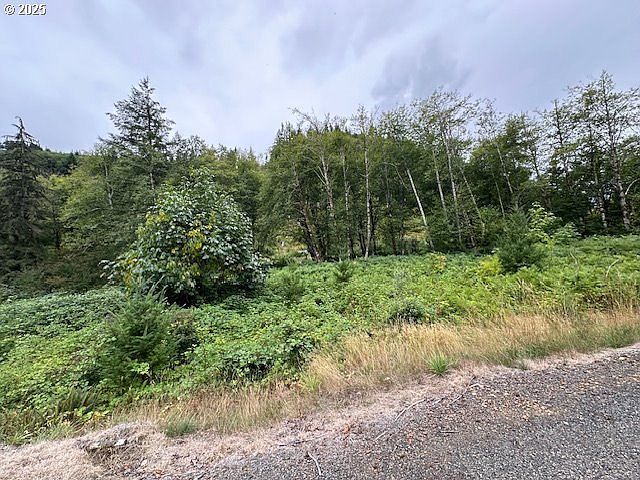 1 N Dubois Rd Ariel, WA 98603, 98603