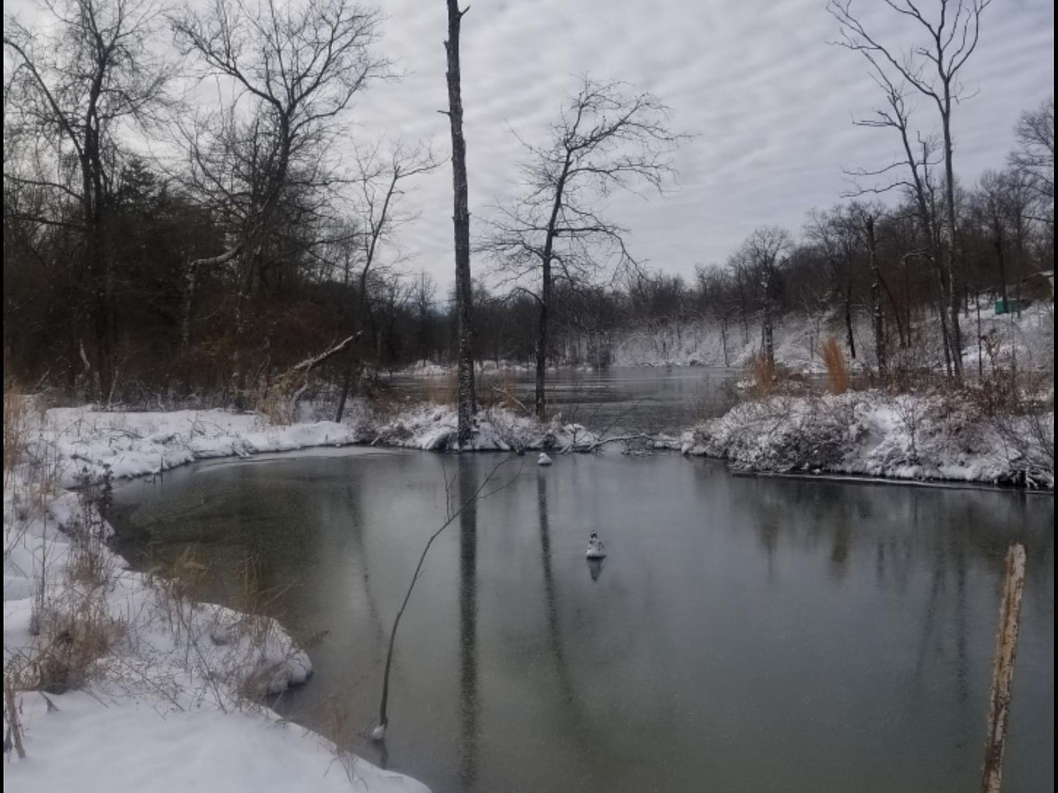 208 Dewmaine School Rd Carterville, IL 62918 - Thumbnail 2