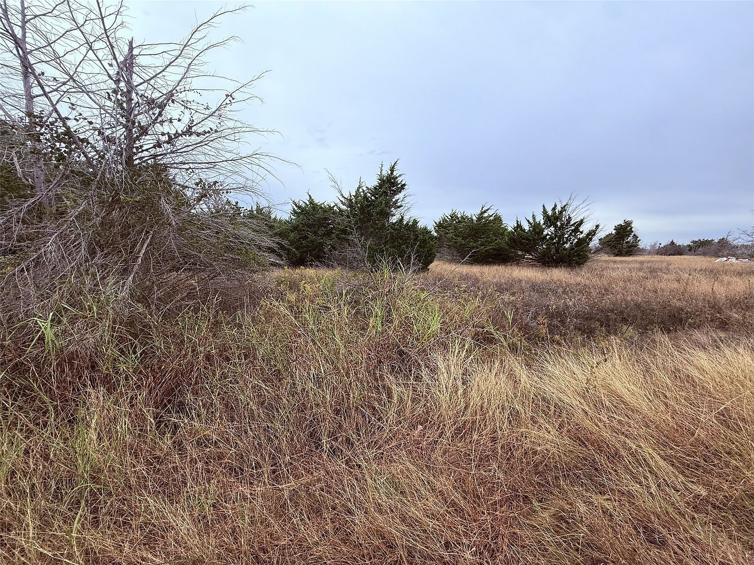 319 Green Mound Dr Glenn Heights, TX 75154  | Land/Lot