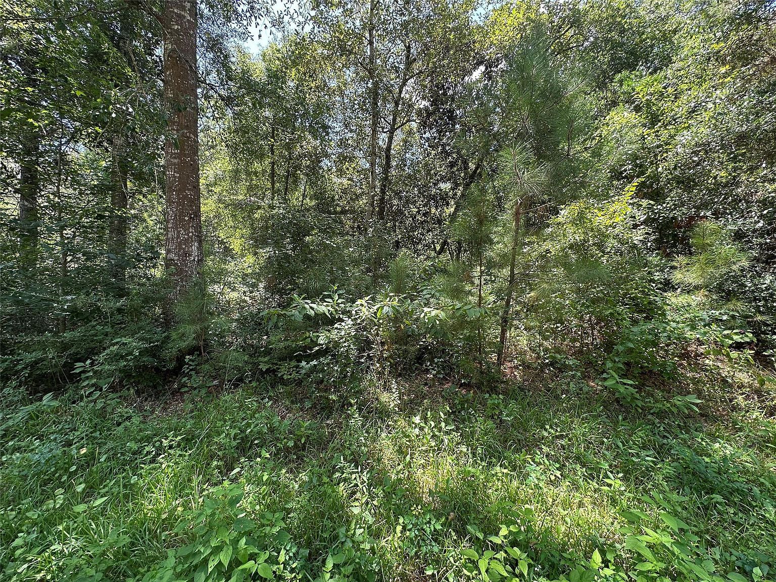 91 Road 2726 Cleveland, TX 77327 - Thumbnail 2