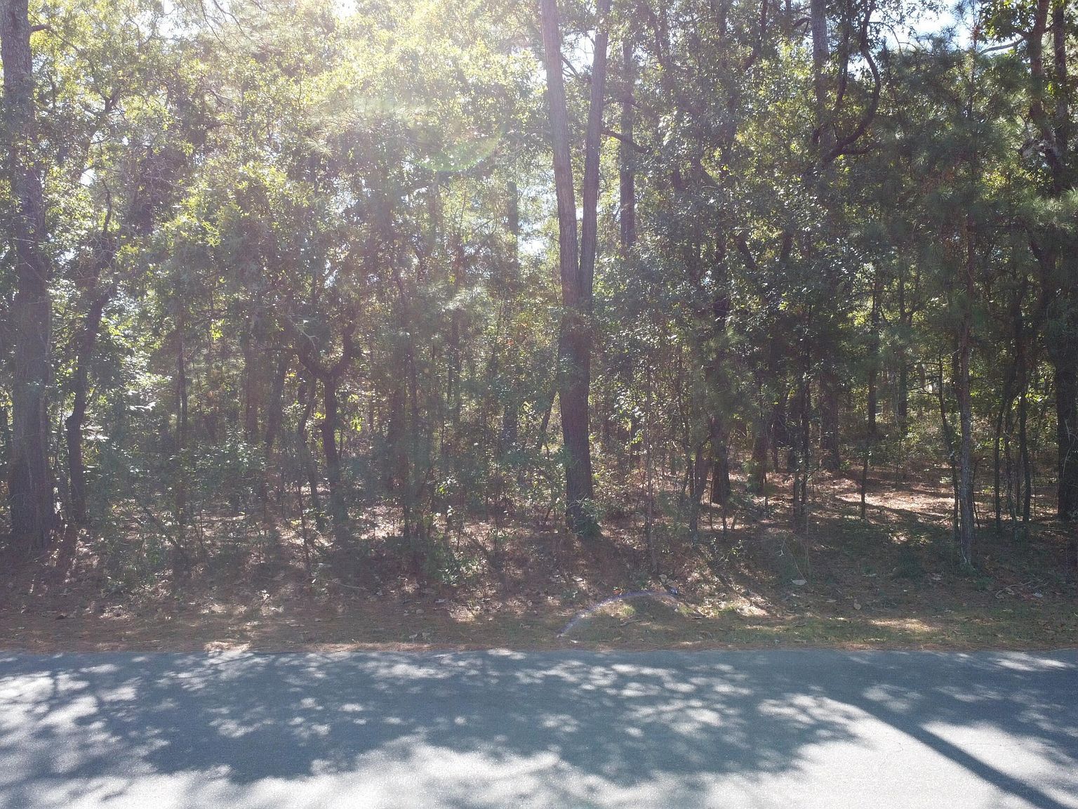 LOT 47 Ward Dr Dudley, NC 28333 - Thumbnail 2