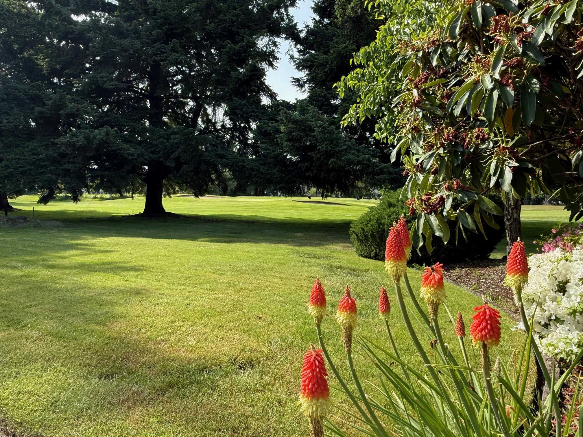 7513 Onyx Dr SW, Lakewood, Washington, USA, 98498 - Thumbnail 2