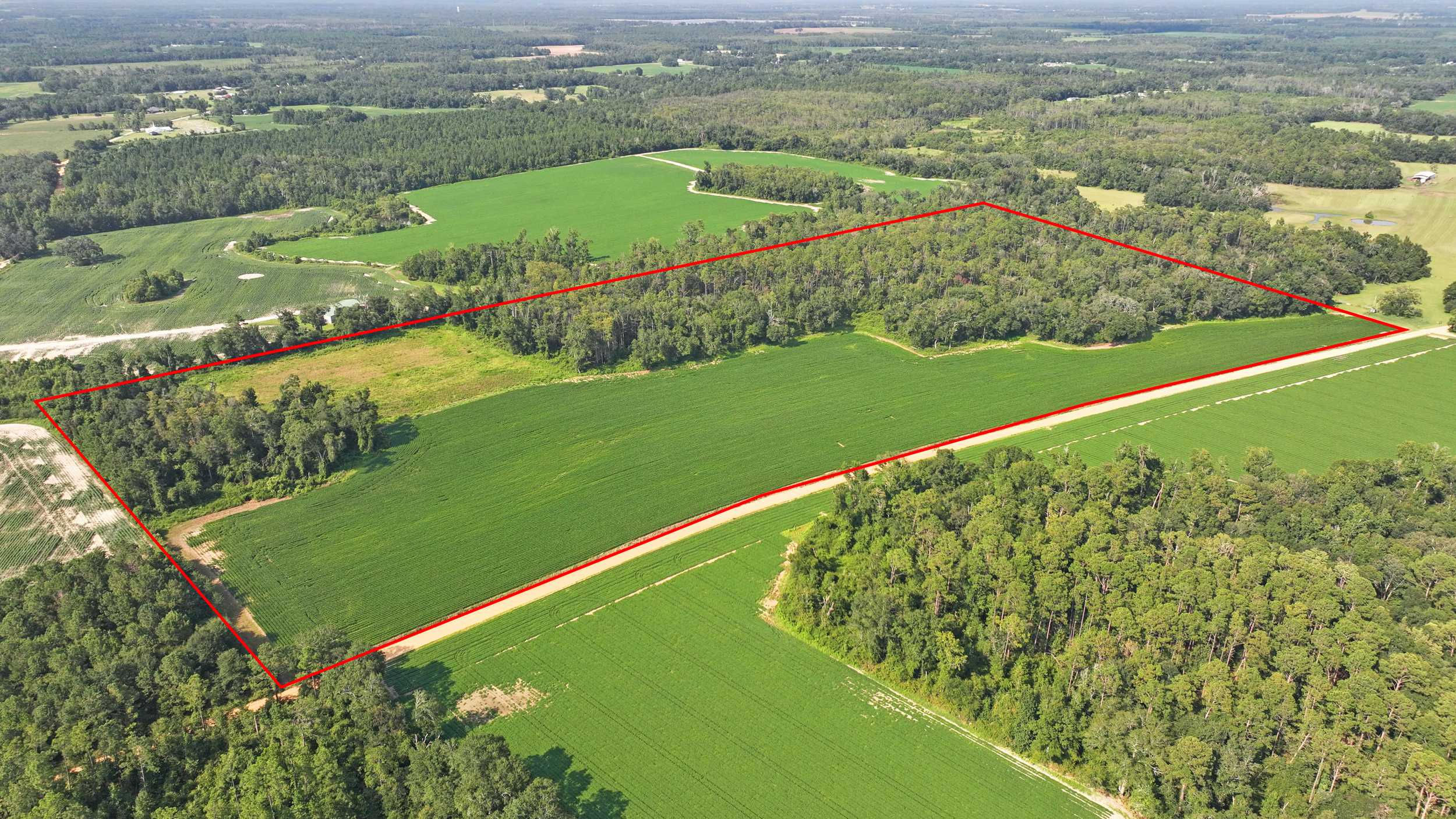 0000 Eldridge Road, Cottondale, FL, 32431 - Thumbnail 2