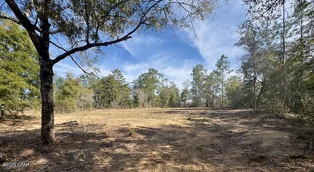 LOT 19 Paradise Lakes Rd Chipley, FL 32428 - Thumbnail 2
