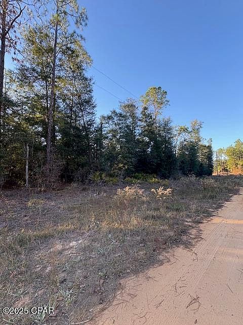 LOT 1 Arpana Cir Alford, FL 32420 - Thumbnail 2