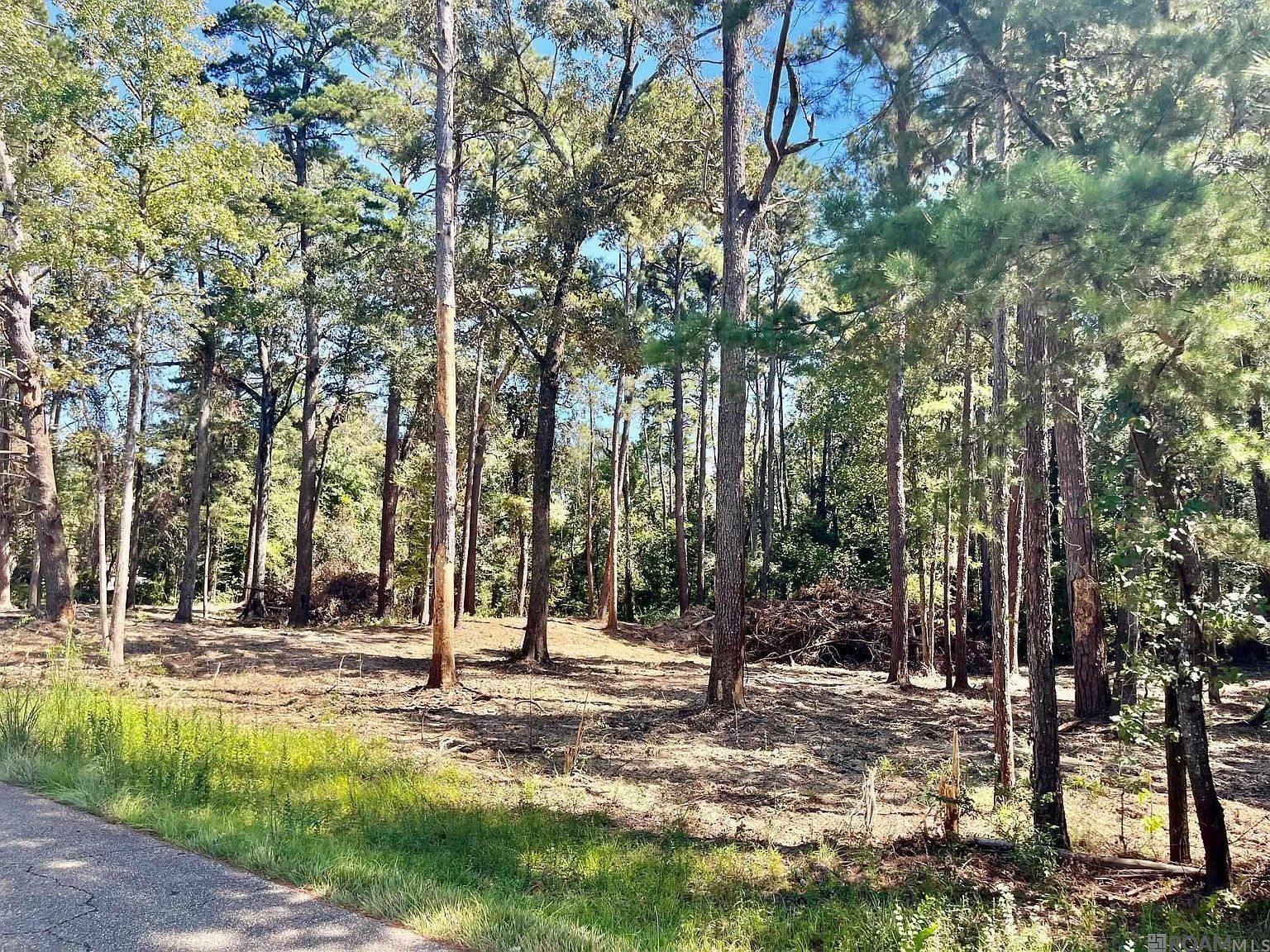 15902 Chaumont Ave Greenwell Springs, LA 70739 - Thumbnail 2