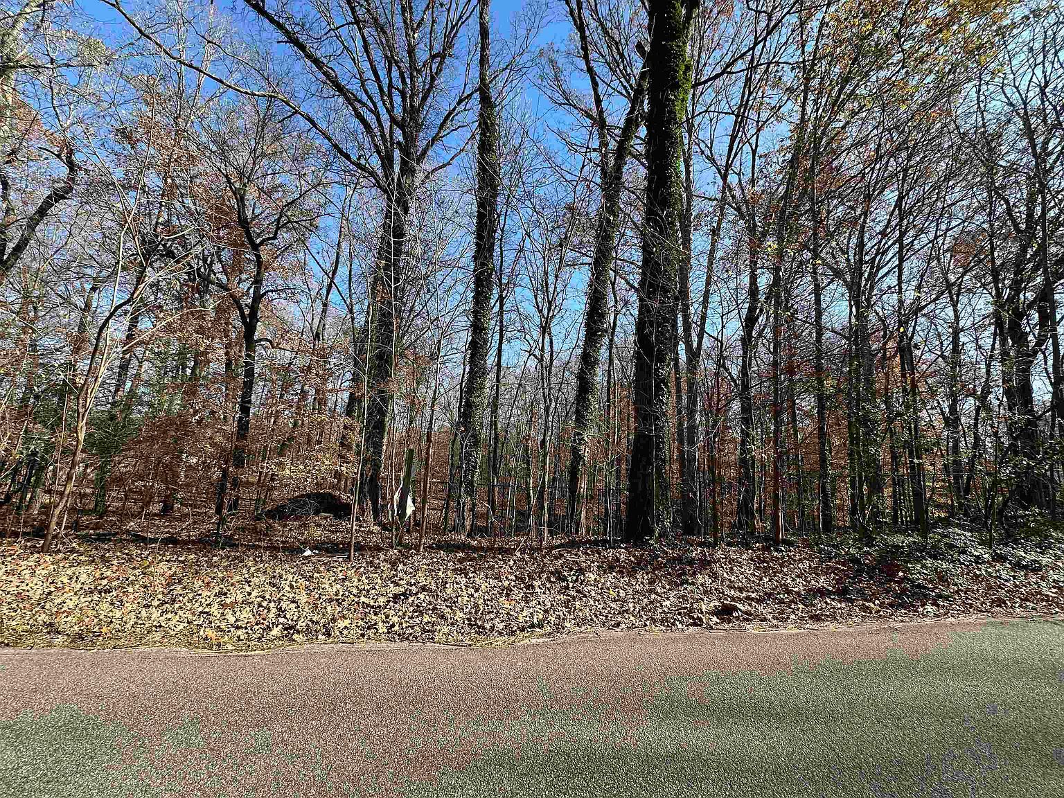 580 E Point Cv Lot 6 & 7 Memphis, TN 38115, 38115