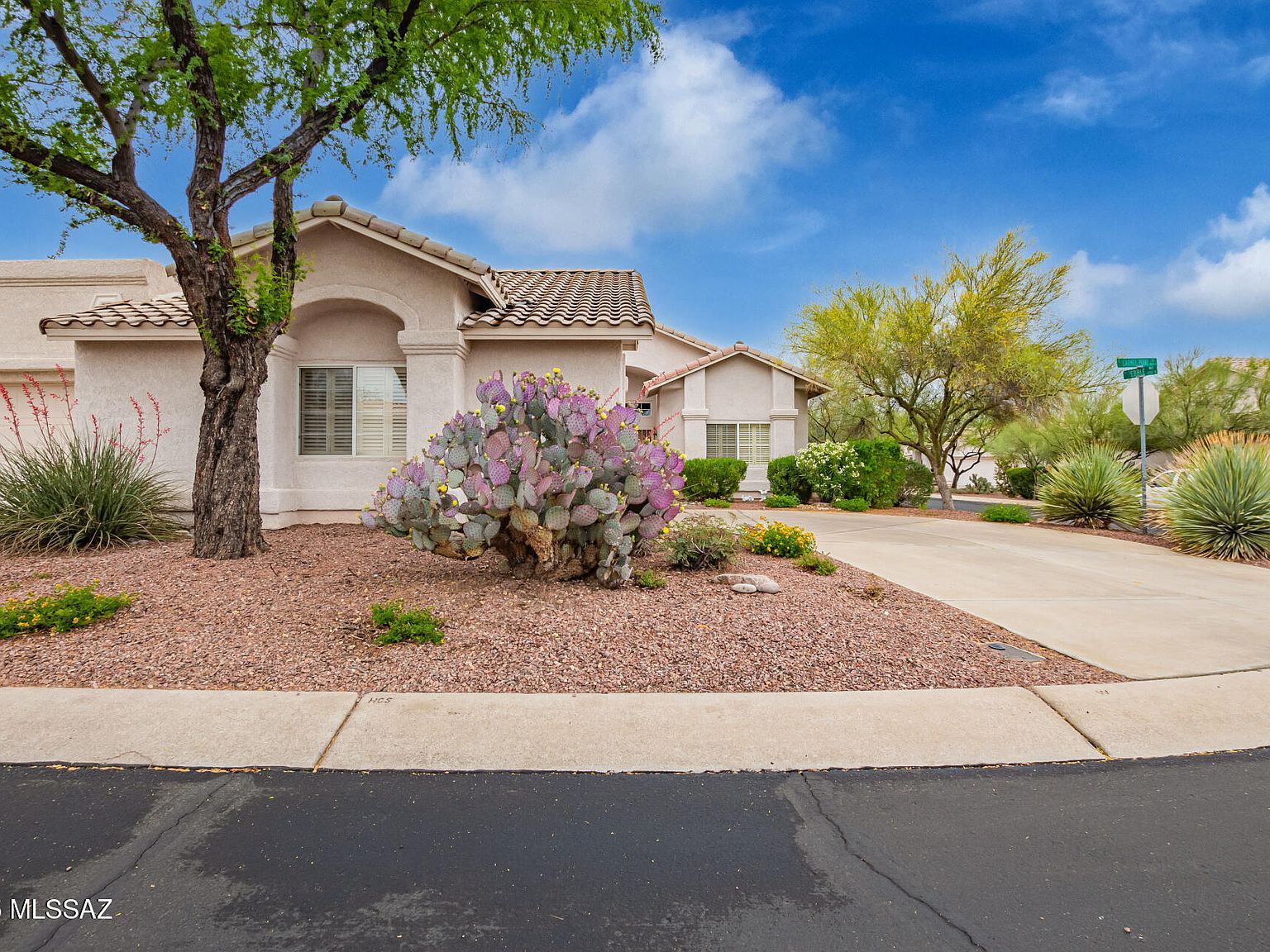 1497 W Carmel Pointe Dr Oro Valley, AZ 85737  | New build