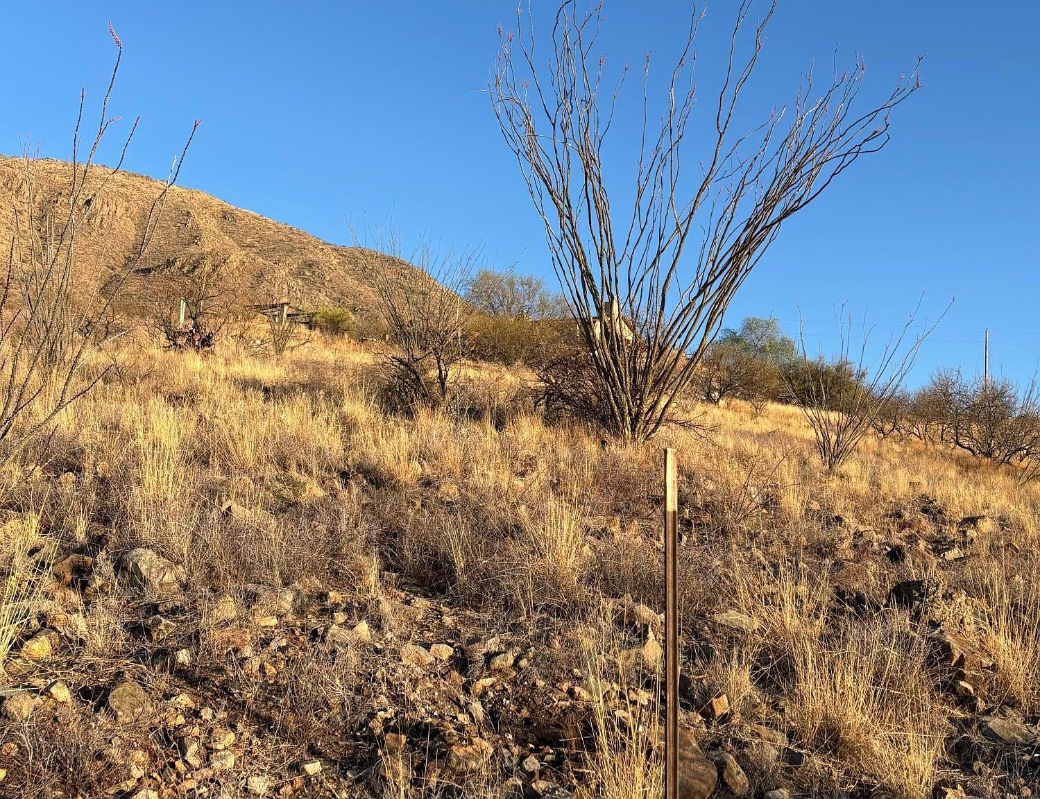 1779 Via Mazatlan #20-RIO Rio Rico, AZ 85648  | Land/Lot
