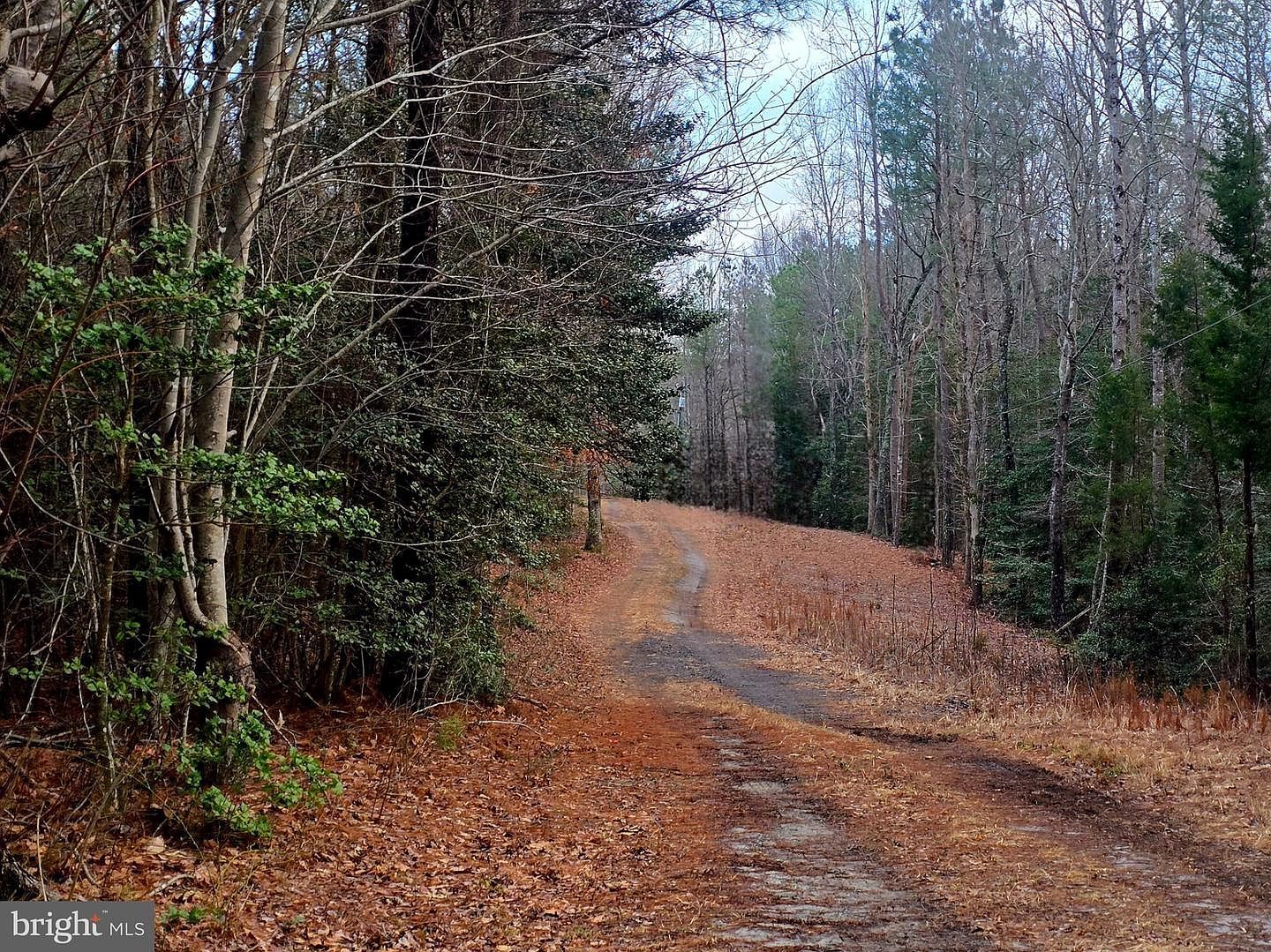 3746 Enos Rd Gloucester, VA 23061 | Single Family