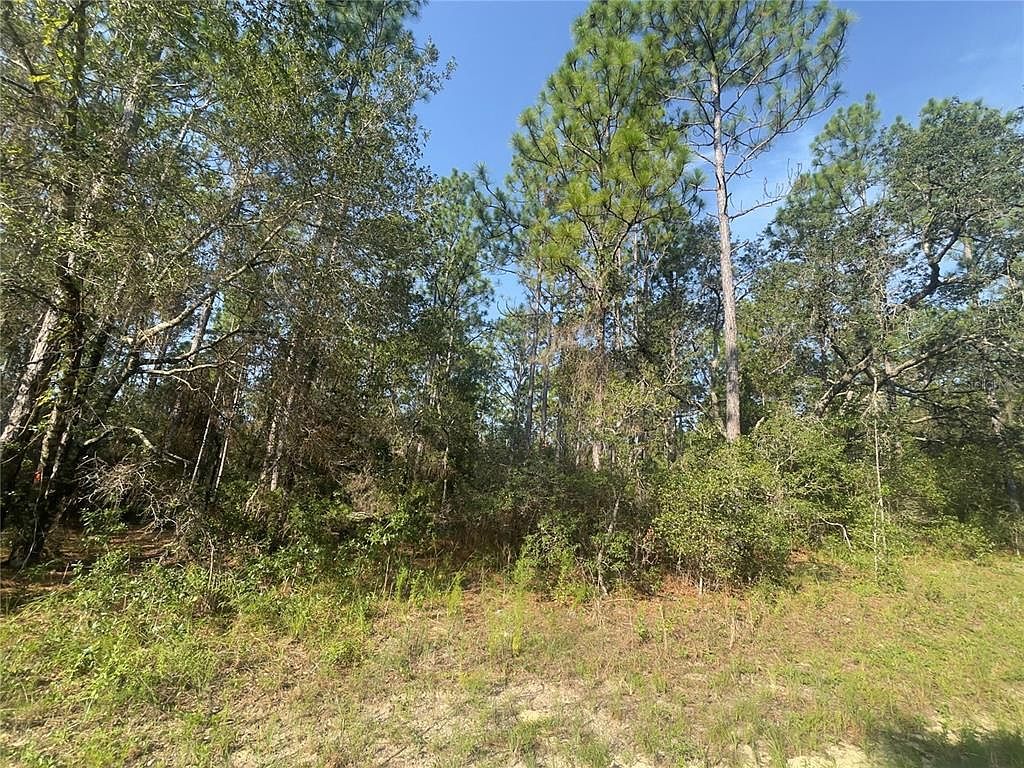 3690 W Norwick Pl #8 Dunnellon, FL 34433 - Thumbnail 2