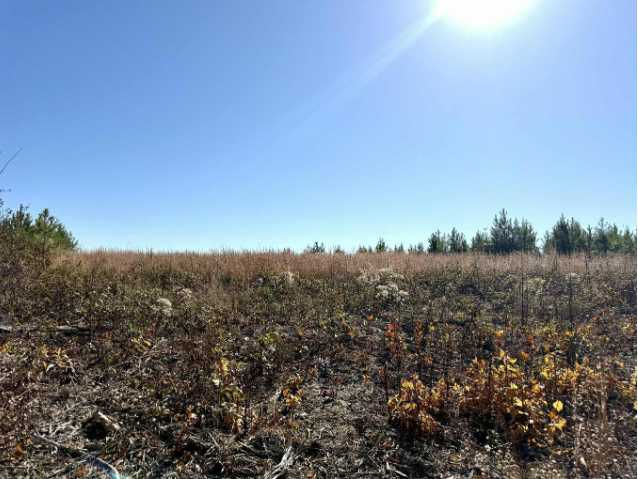 St Rt 399 Lots 1 & 2, Dunlap, TN, 37327  | Land/Lot