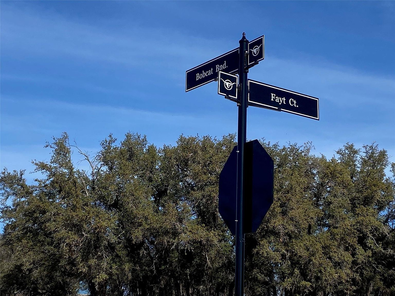 Fayt Ct Georgetown, TX 78628 - Thumbnail 2