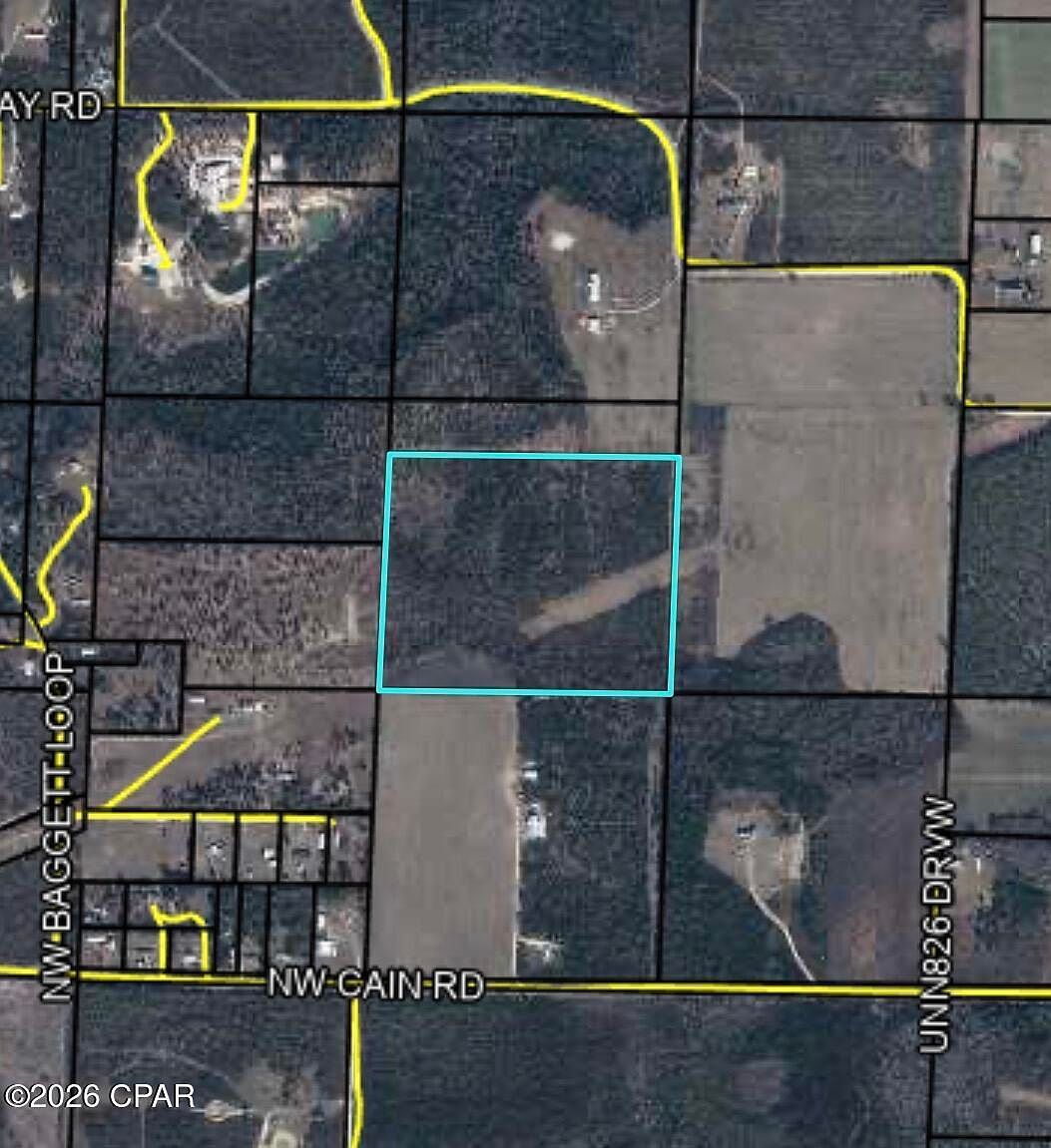 NW Gray Rd Clarksville, FL 32430  | Land/Lot