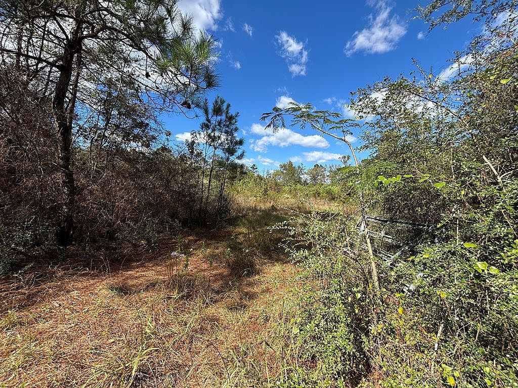 3895 State Highway 21 E Hemphill, TX 75948 - Thumbnail 2