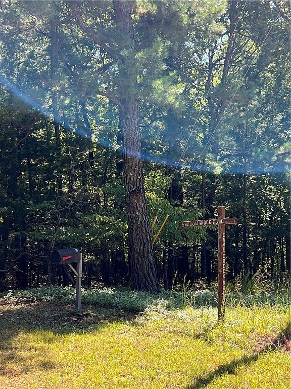 Shadow Ridge Rd #98 Kansas, OK 74347 - Thumbnail 2