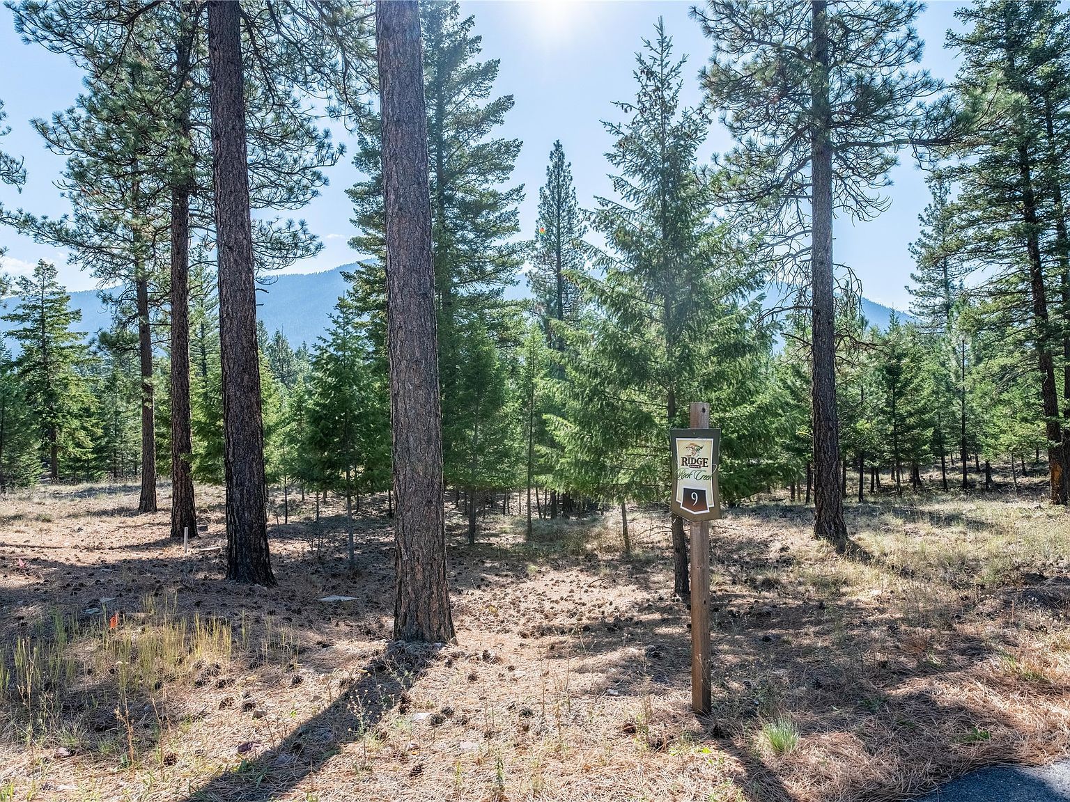 LOT 9 Stonefly Rd Clinton, MT 59825 - Thumbnail 2