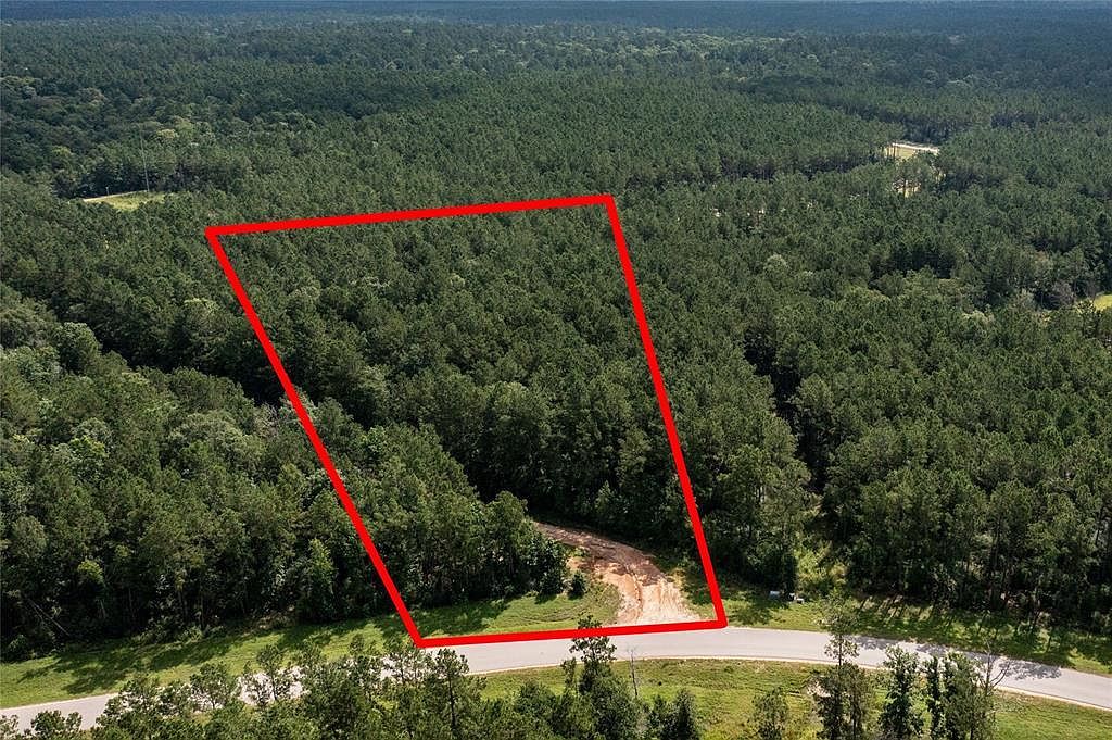 10775 Ruger Rd Willis, TX 77378 - Thumbnail 2