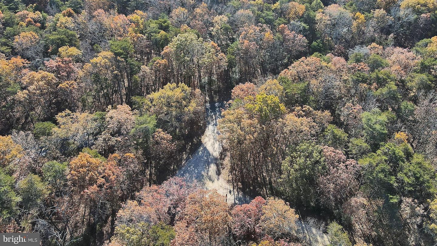 Carpenter Ave Millville, NJ 08332 - Thumbnail 2