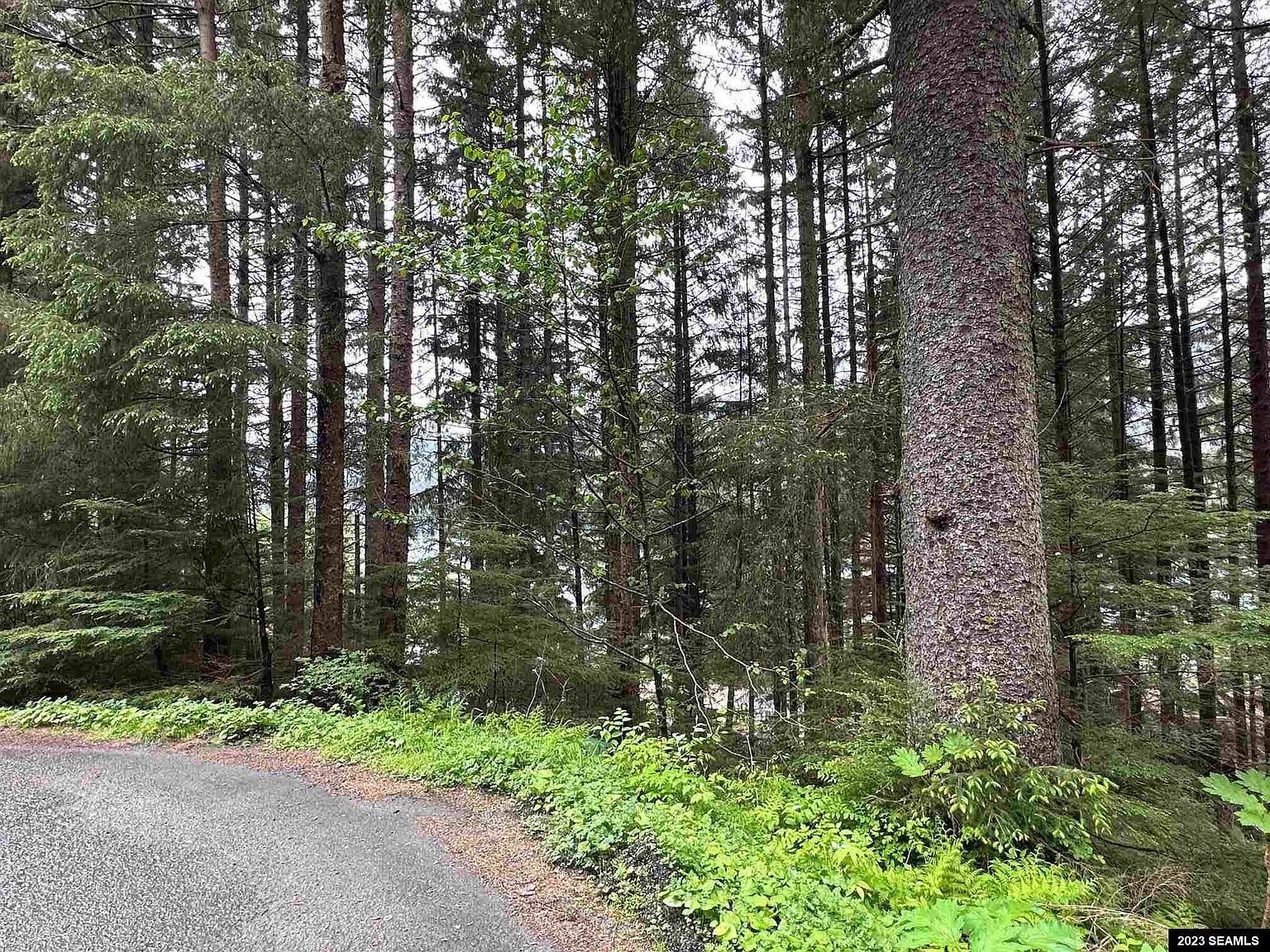 1853 Bartlett Ave Juneau, AK 99801 - Thumbnail 2