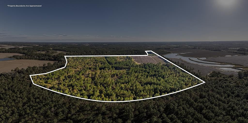 0 Baker Rd Tifton, GA 31794 - Thumbnail 2