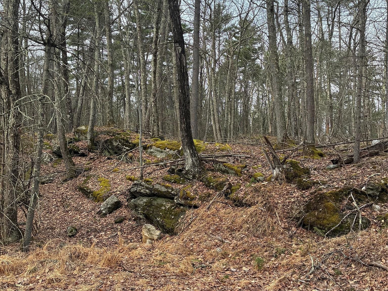 Rambling Rd Wurtsboro, NY 12790 | Land/Lot