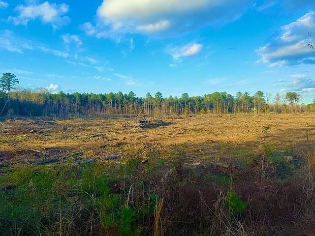 0 Ian Johnson Rd Boyce, LA 71409 - Thumbnail 2