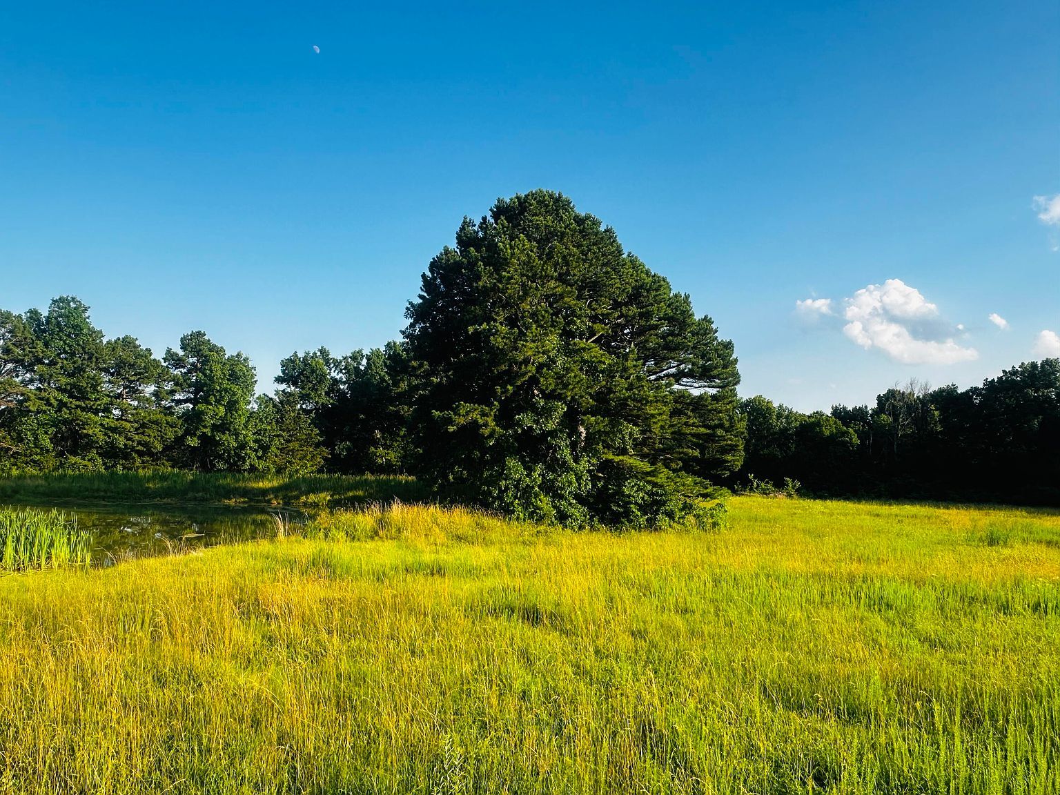 2 Tract 2c Ave #935 Mexico, MO 65265 - Thumbnail 2