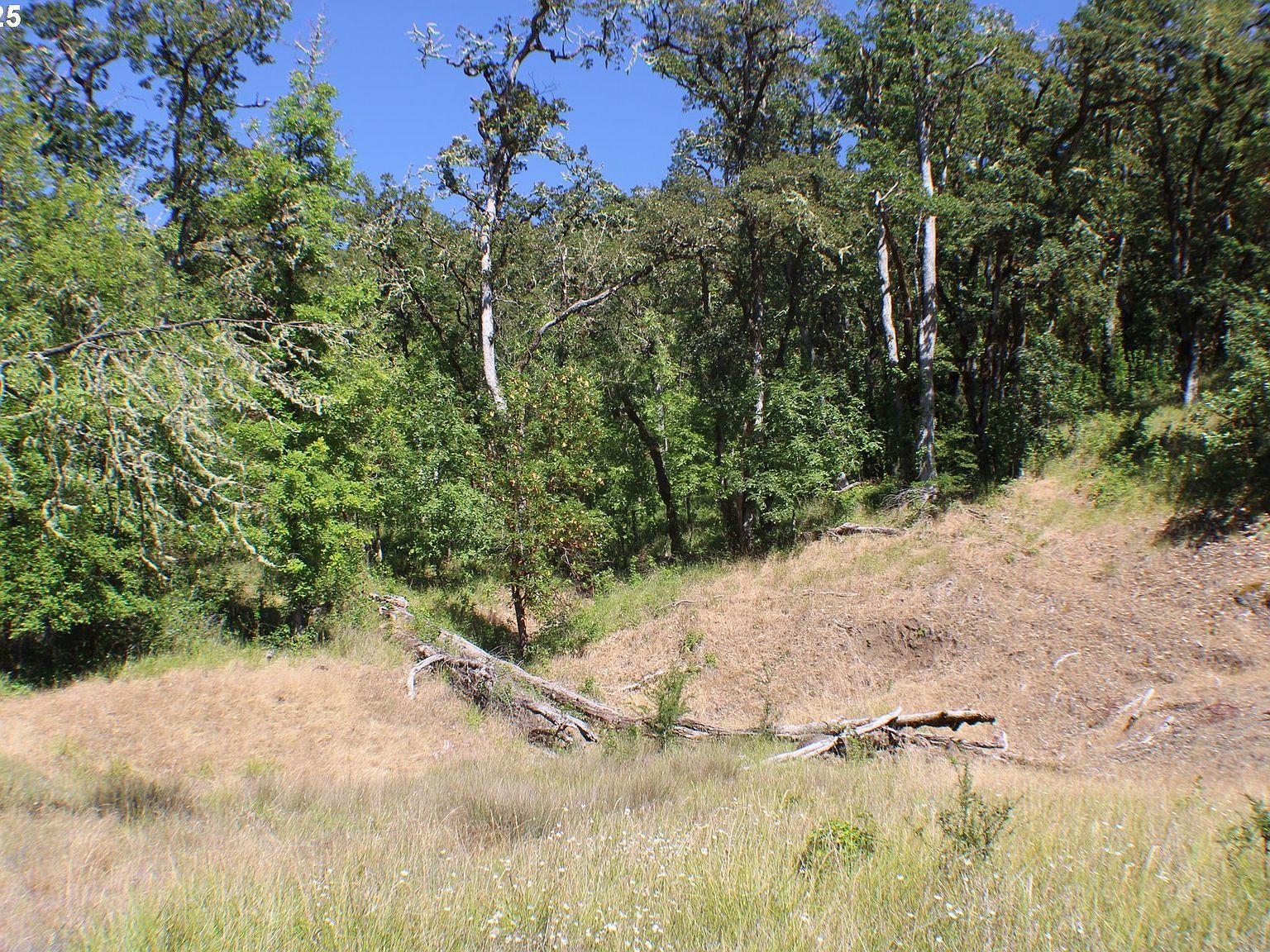 0 Sierra Dr Roseburg, OR 97471 - Thumbnail 2