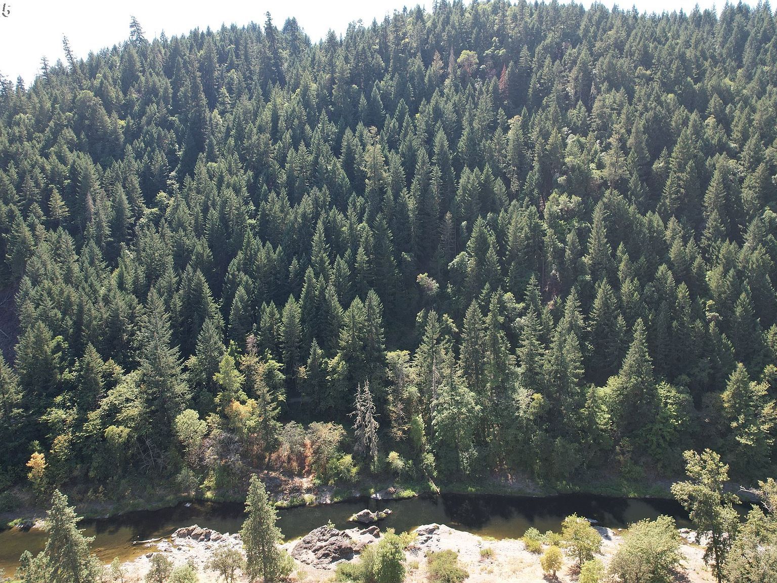 750 Ferguson Ln Days Creek, OR 97429 - Thumbnail 2