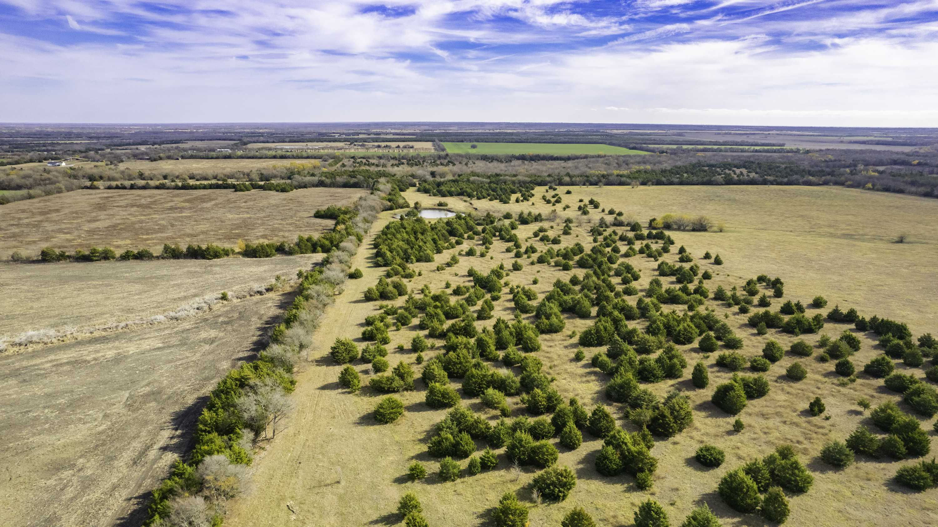 TBD County Rd 3725, Bailey, TX, 75413  | Land/Lot