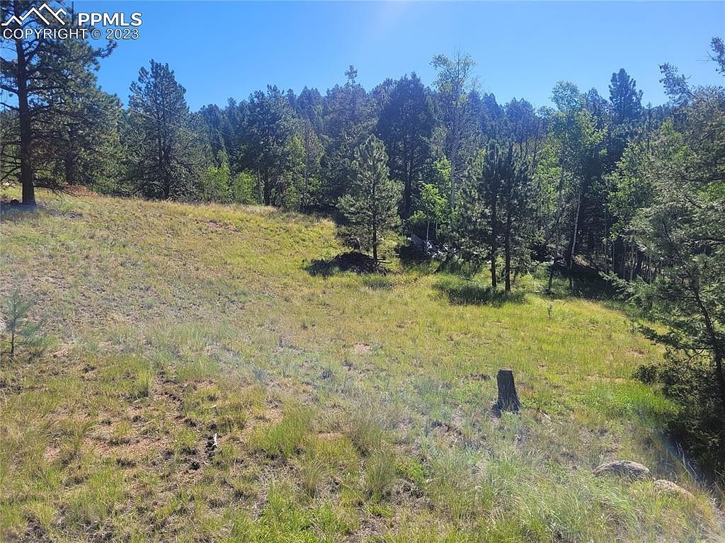 3168 N Mountain Estates Rd Florissant, CO 80816 - Thumbnail 2