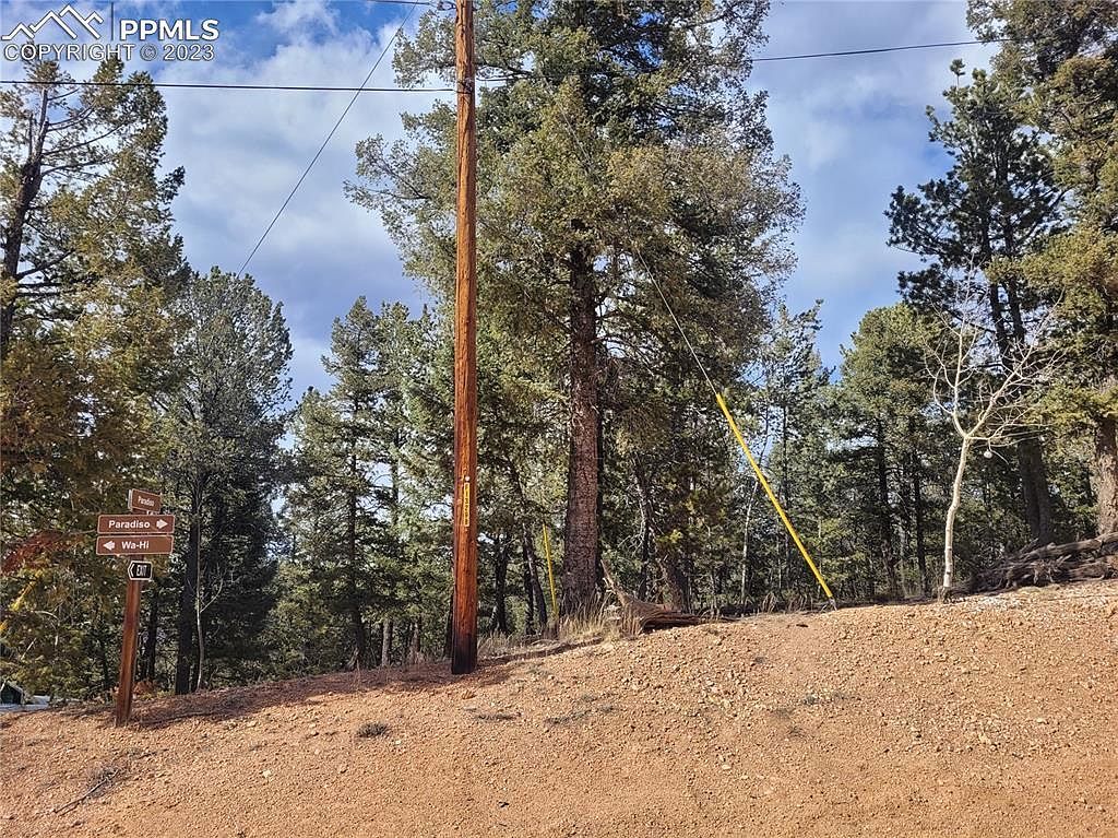 329 Paradiso Rd Divide, CO 80814 - Thumbnail 2