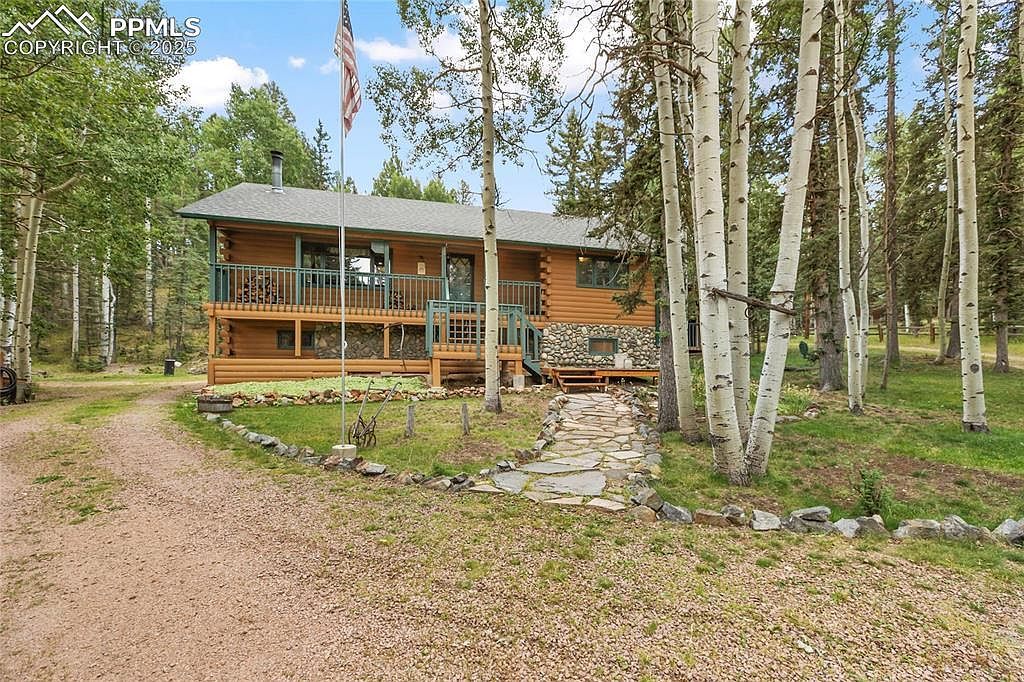 56 Blue Jay Ln Divide, CO 80814 - Thumbnail 2
