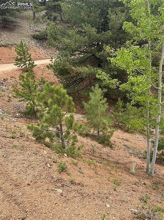 1600 Pikes Peak Dr Divide, CO 80814 - Thumbnail 2