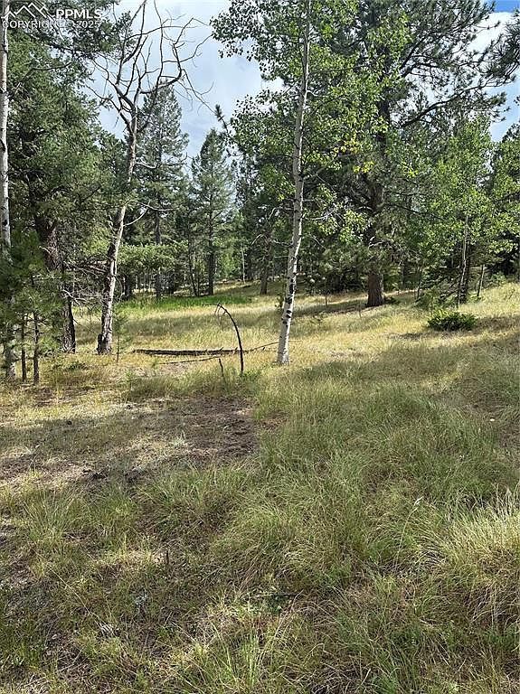 17 Deer Ridge Trl #33 Florissant, CO 80816 - Thumbnail 2