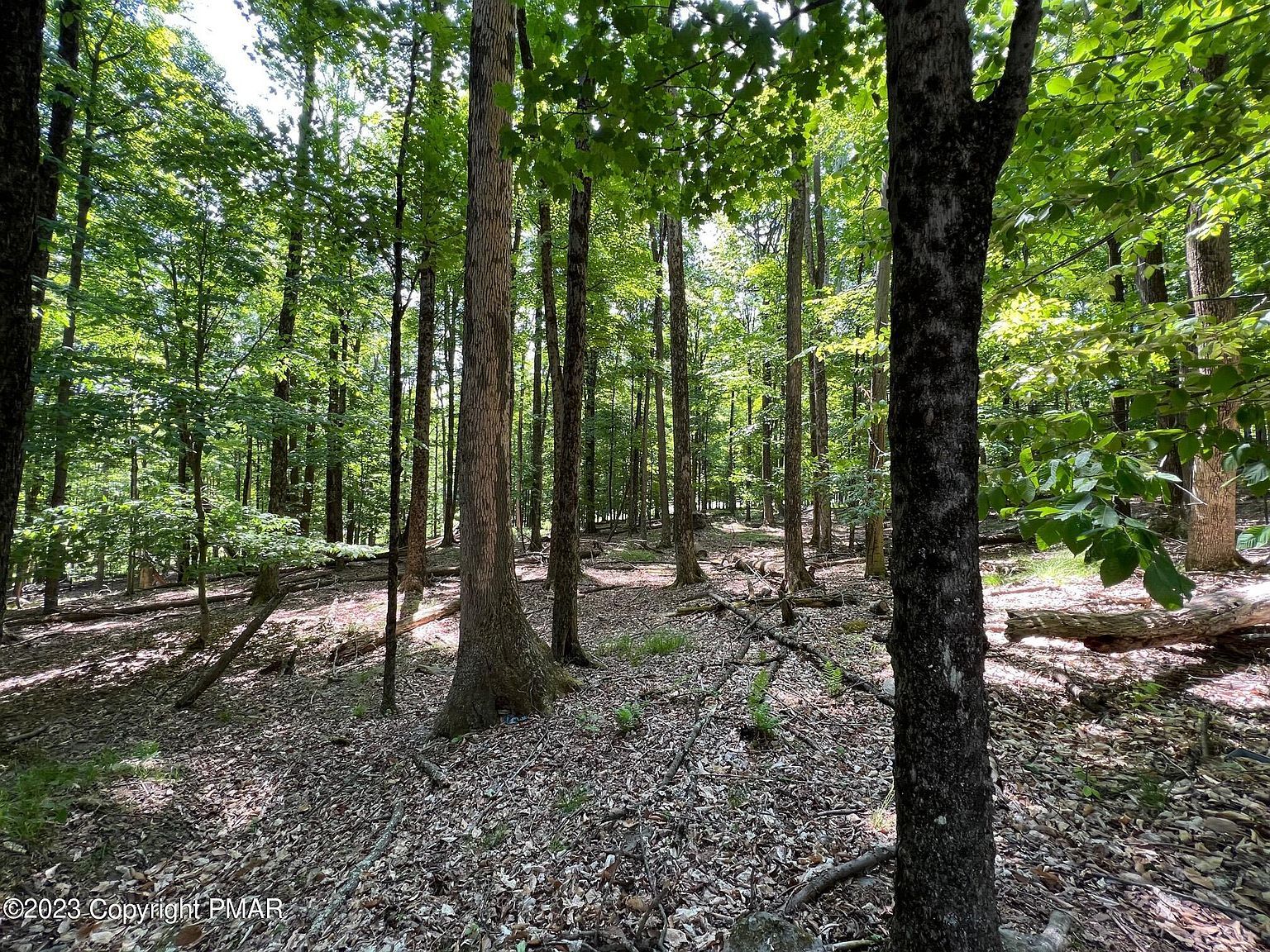 Colonial Ln Greentown, PA 18426 - Thumbnail 2