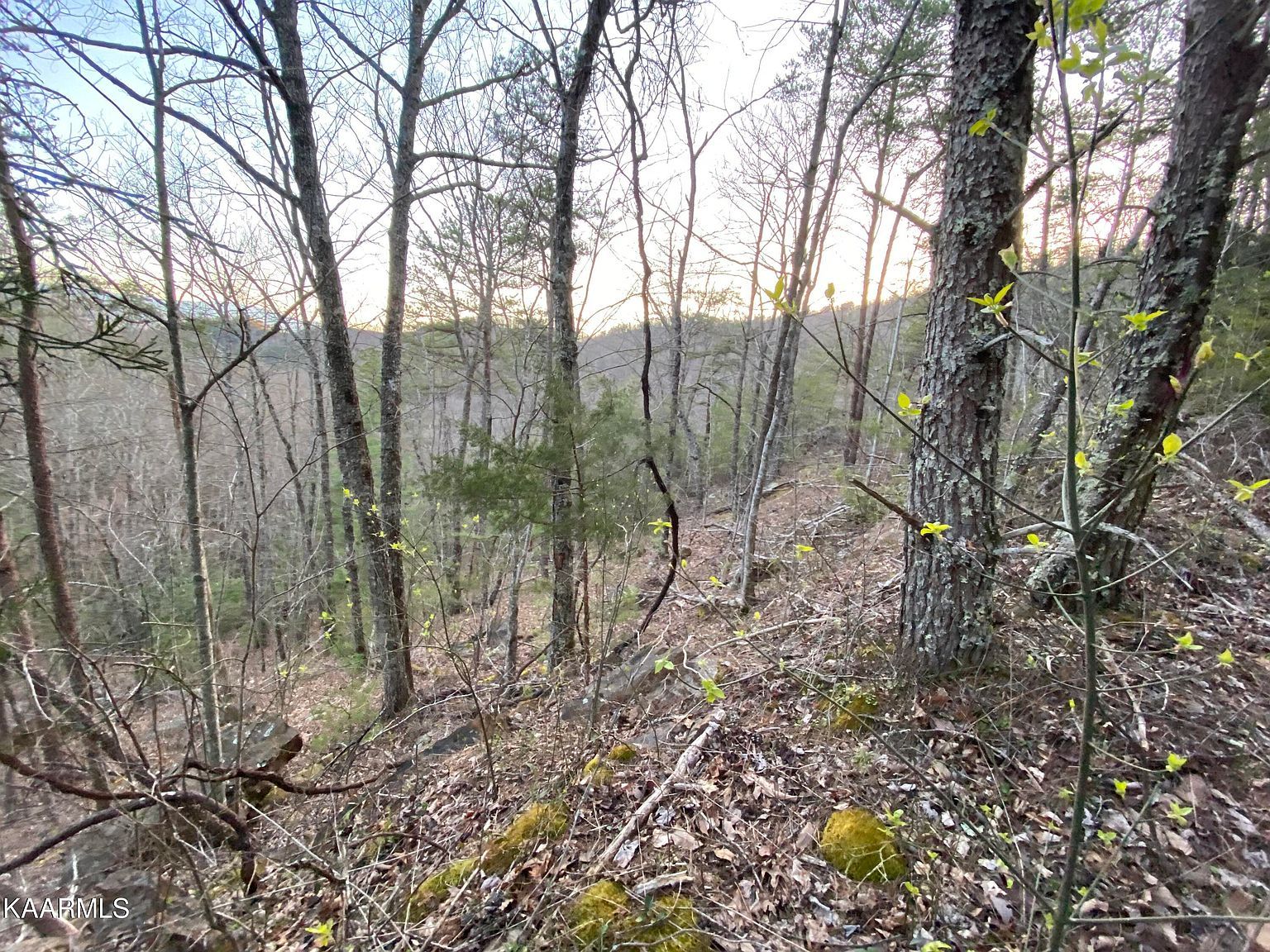 LOT 46 Beechwood Ln Sevierville, TN 37876 - Thumbnail 2