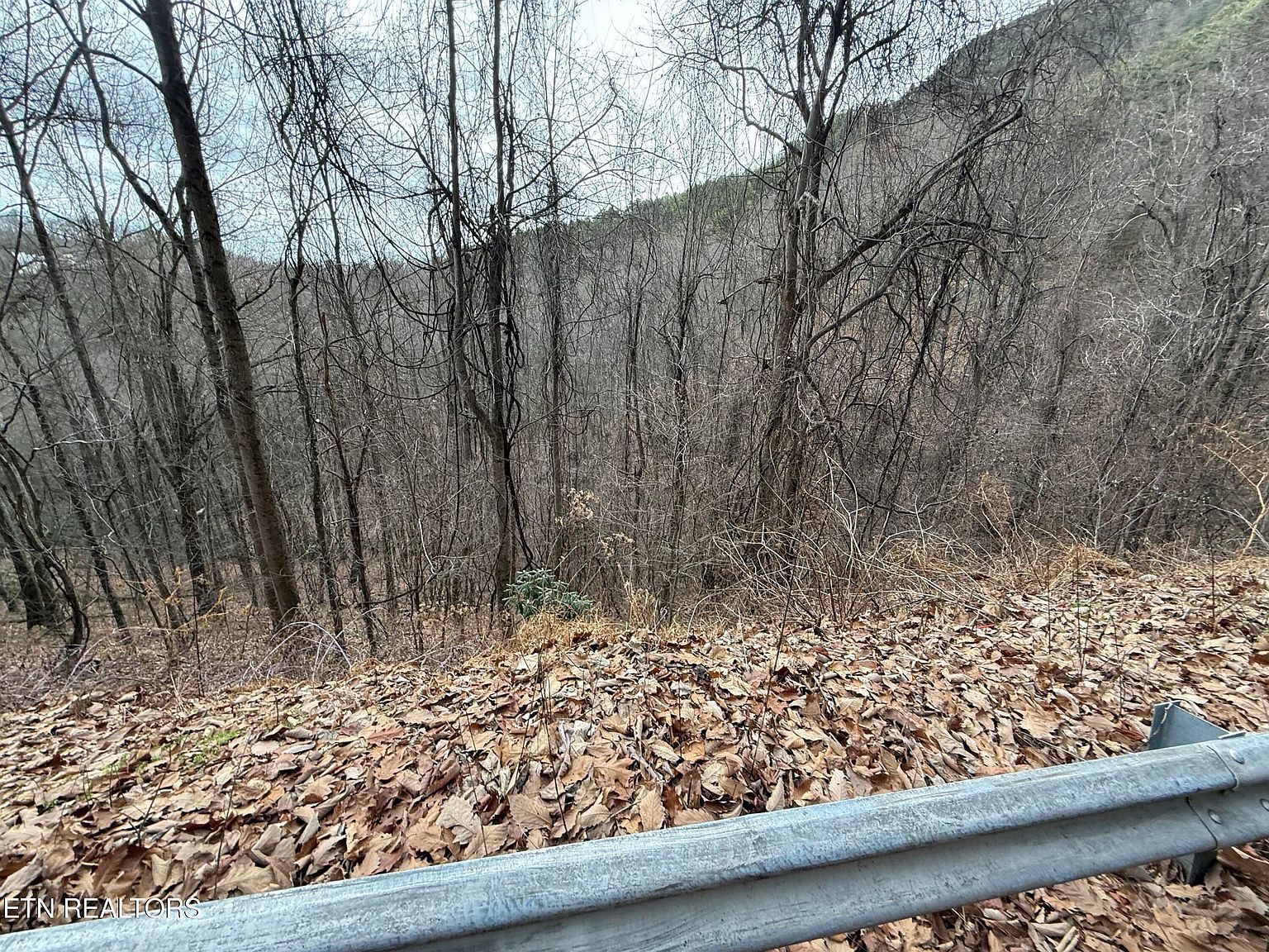 LOT 34 Alpine Dr Sevierville, TN 37876 - Thumbnail 2