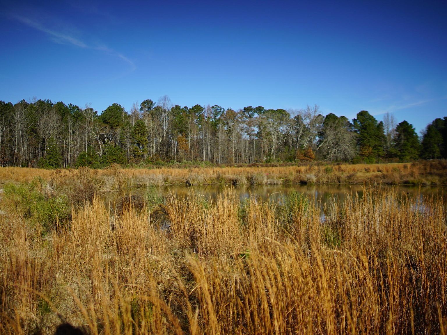 111 Old Wagon Ln LOT 2 Sanford, NC 27332 - Thumbnail 2